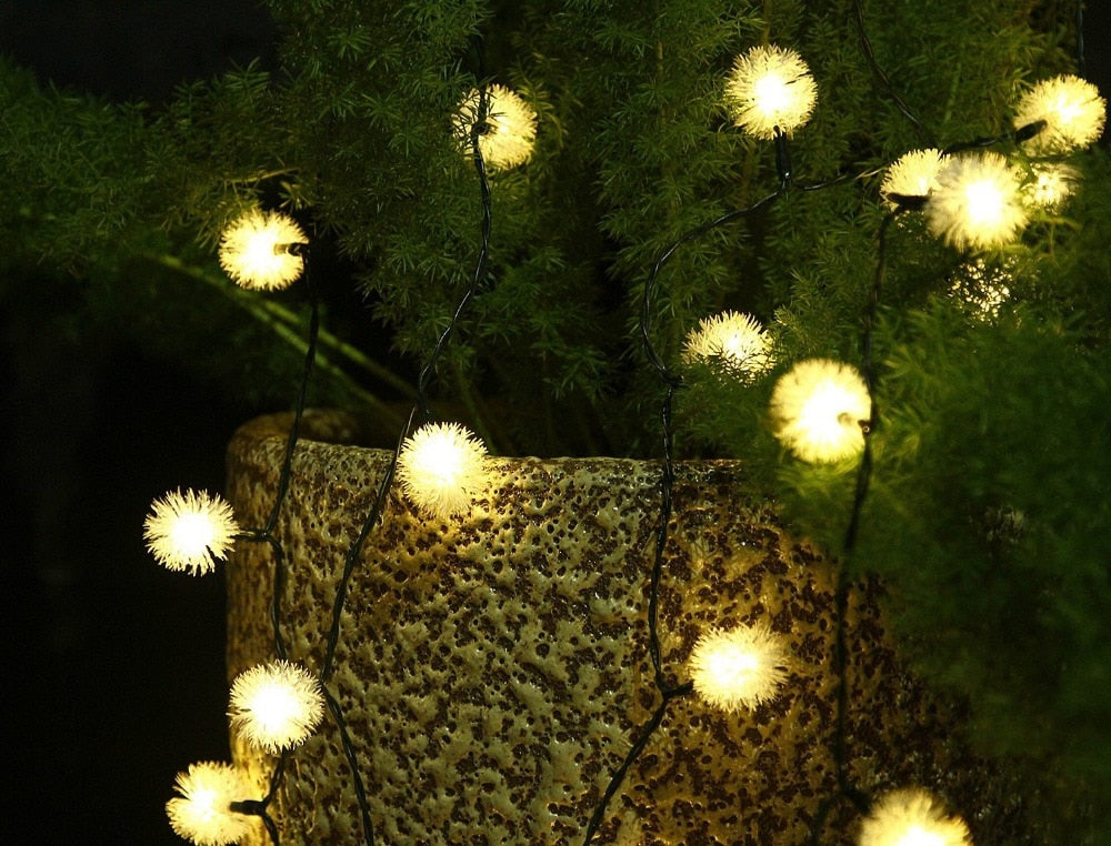 Hesso - Solar String Fairy Lights - Warmly Lights